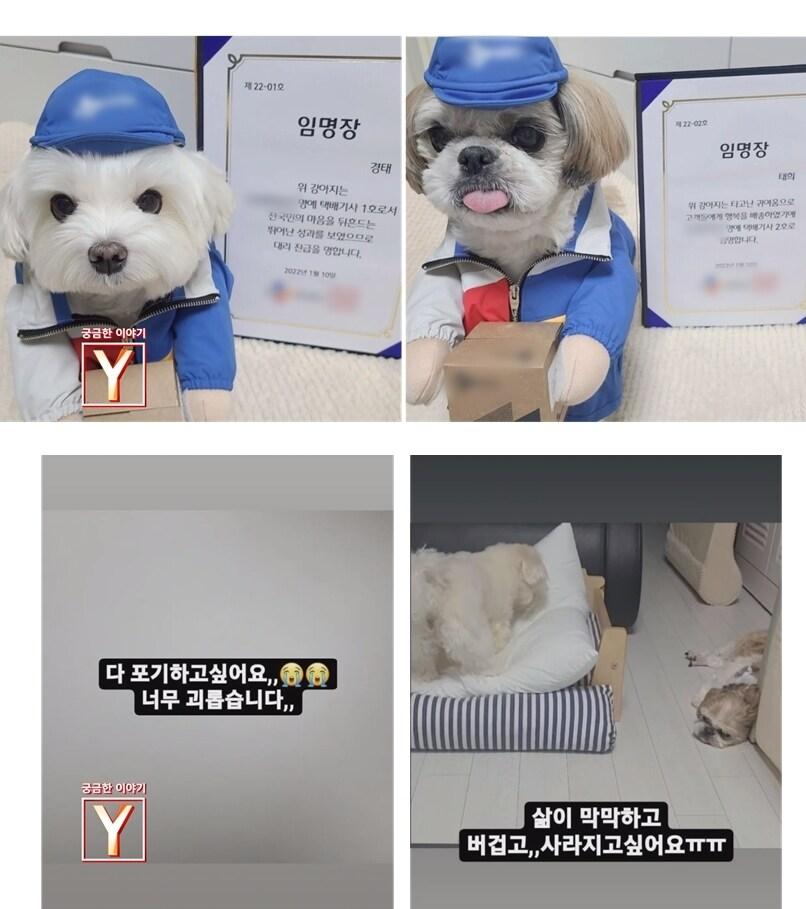 본문 이미지 - SBS ⓒ 뉴스1