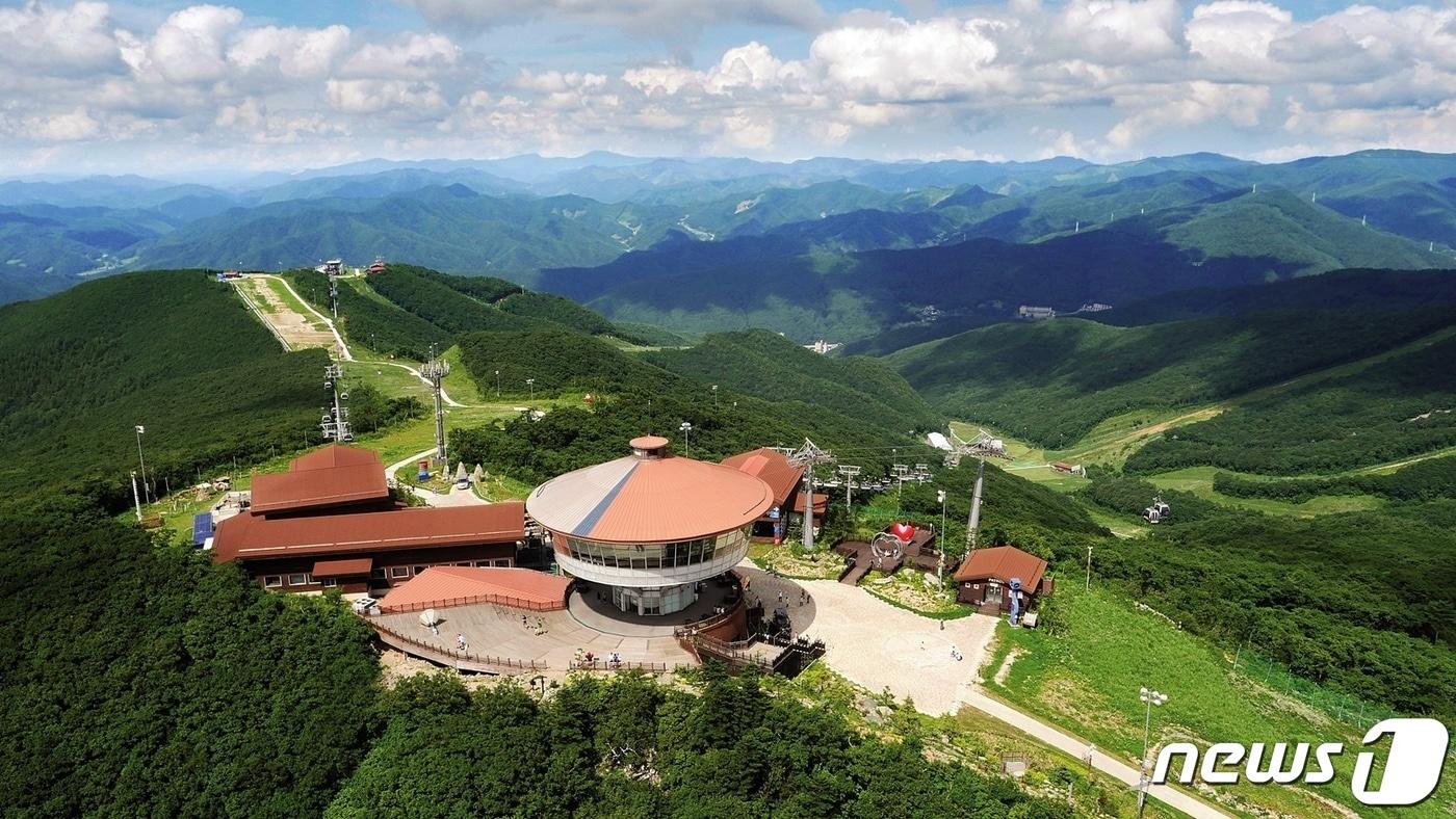 본문 이미지 - 강원 정선 하이원리조트 마운틴 탑에서 바라본 백두대간. (뉴스1 DB)