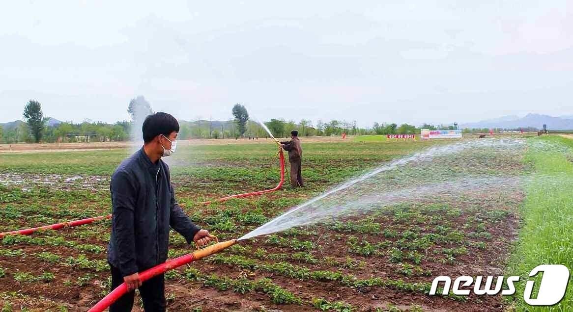 본문 이미지 - (평양 노동신문=뉴스1) = 북한이 가뭄 피해를 막기 위해 총력을 기울이고 있다. [국내에서만 사용가능. 재배포 금지. DB 금지. For Use Only in the Republic of Korea. Redistribution Prohibited] rodongphoto@news1.kr