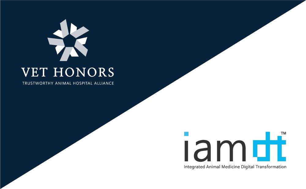 본문 이미지 - 아이엠디티 벳아너스 ⓒ 뉴스1