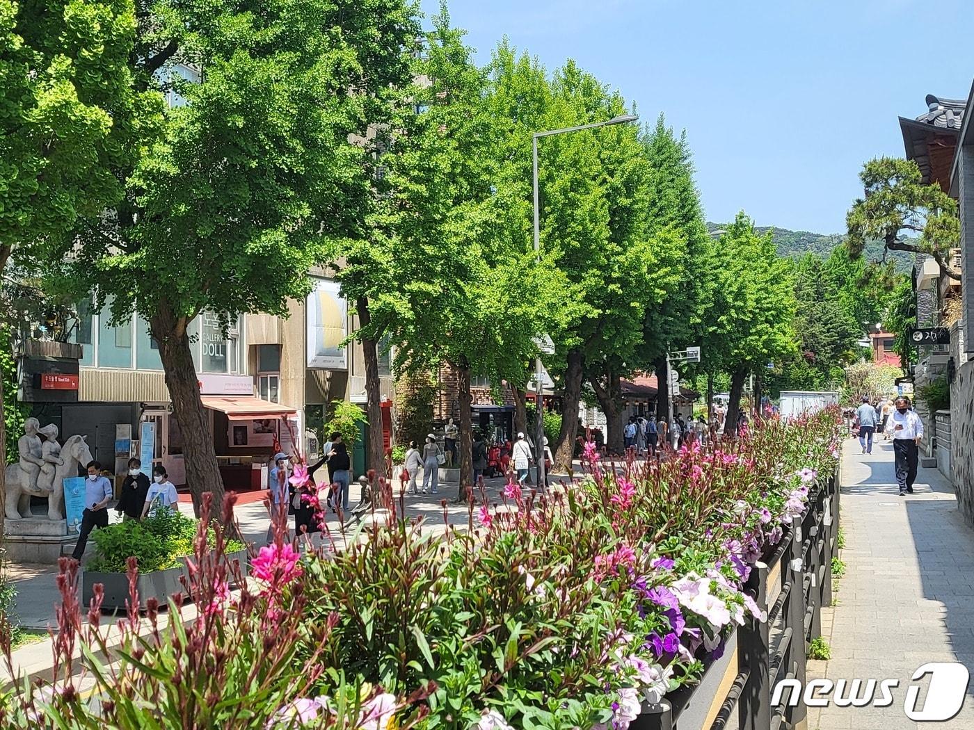 본문 이미지 - 12일 낮 서울 종로구 삼청동길을 따라 시민들이 걷고 있다. ⓒ 뉴스1 김진 기자