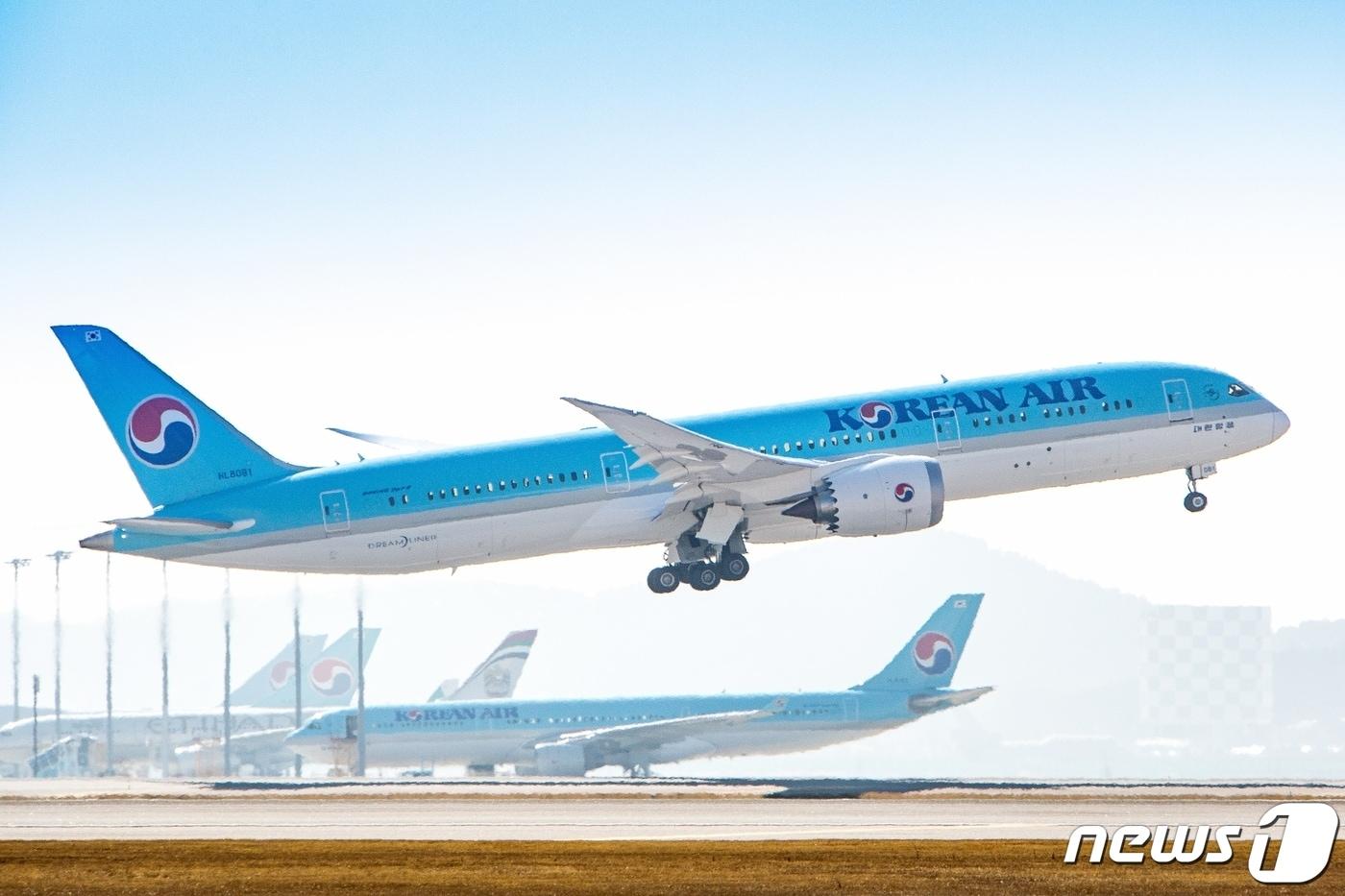 대한항공 항공기ⓒ 뉴스1