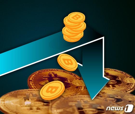 본문 이미지 - ⓒ News1 DB