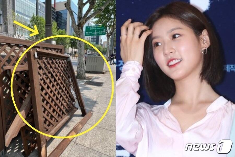 본문 이미지 - (왼) ⓒ News1 김정현 기자 , (오) 배우 김새론 ⓒ News1 권현진 기자 ⓒ News1 나주희