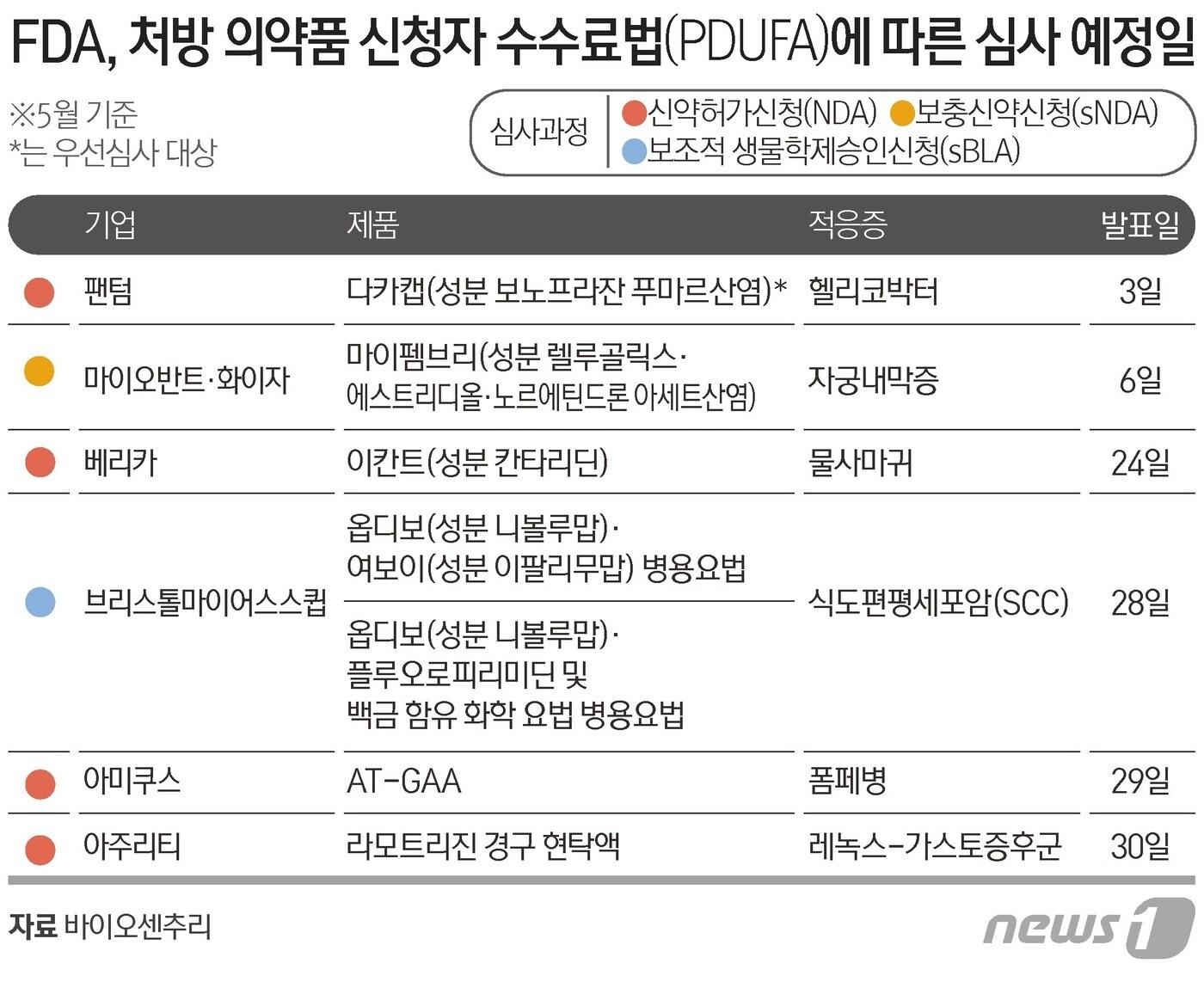 본문 이미지 - ⓒ News1 김초희 디자이너