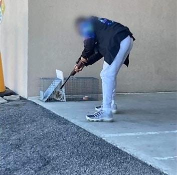 본문 이미지 - (KBS 보도화면 갈무리) ⓒ 뉴스1