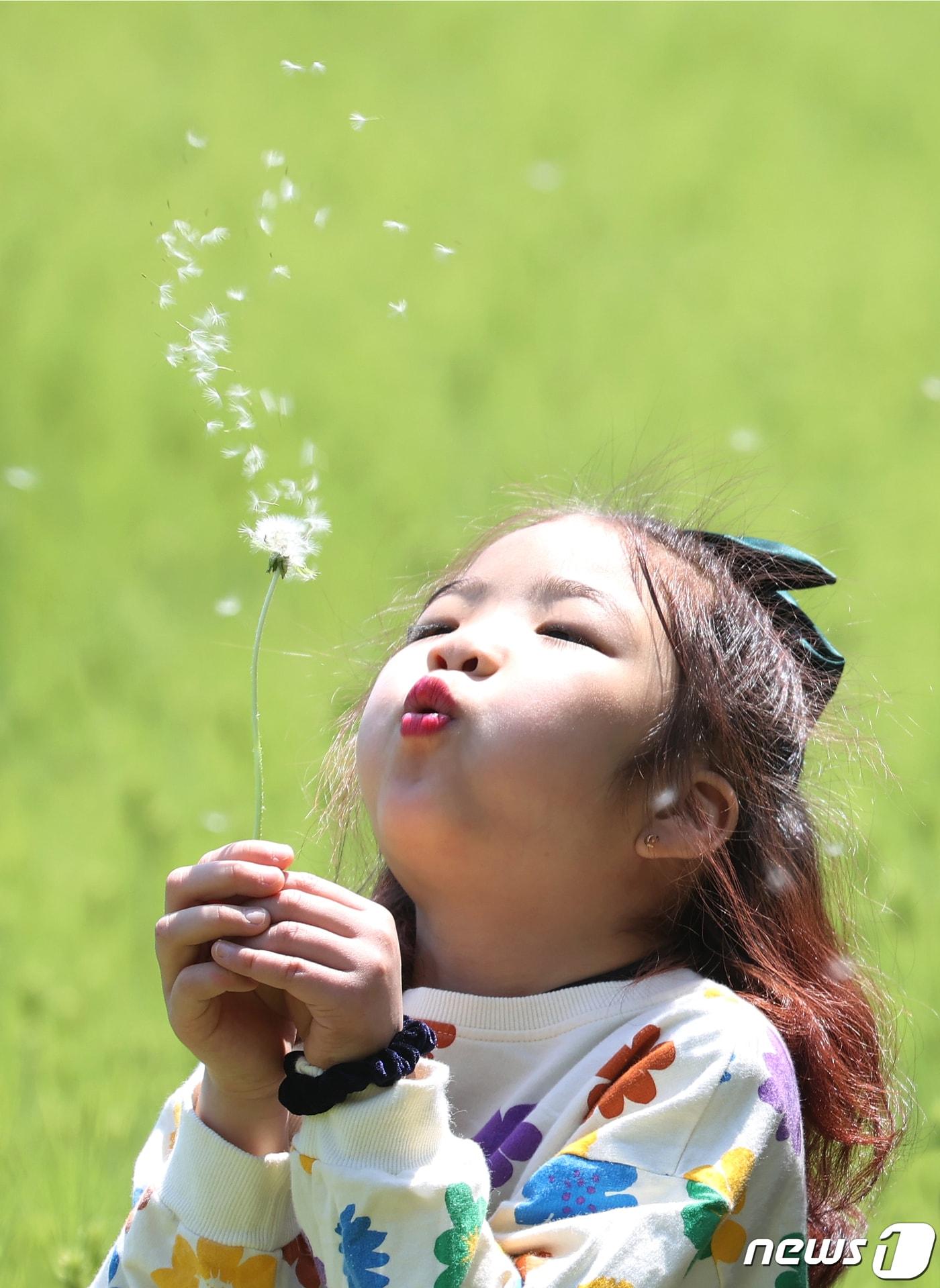 본문 이미지 - 어린이날을 이틀 앞둔 3일 경남 함양군 상림공원 청보리밭을 찾은 연꽃어린이집 원생들이 청보리밭을 걸으며 즐거운 시간을 보내고 있다. (함양군 김용만 제공) 2022.5.3/뉴스1