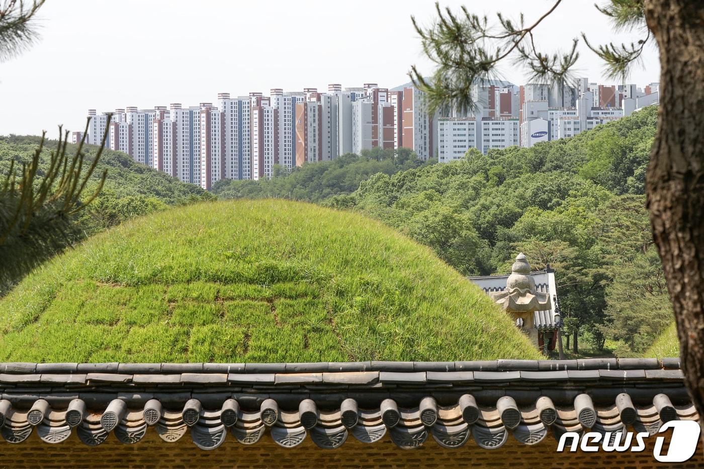 사진은 31일 경기 김포 장릉에서 바라본 '왕릉뷰 아파트' 모습. 2022.5.31/뉴스1 ⓒ News1 민경석 기자