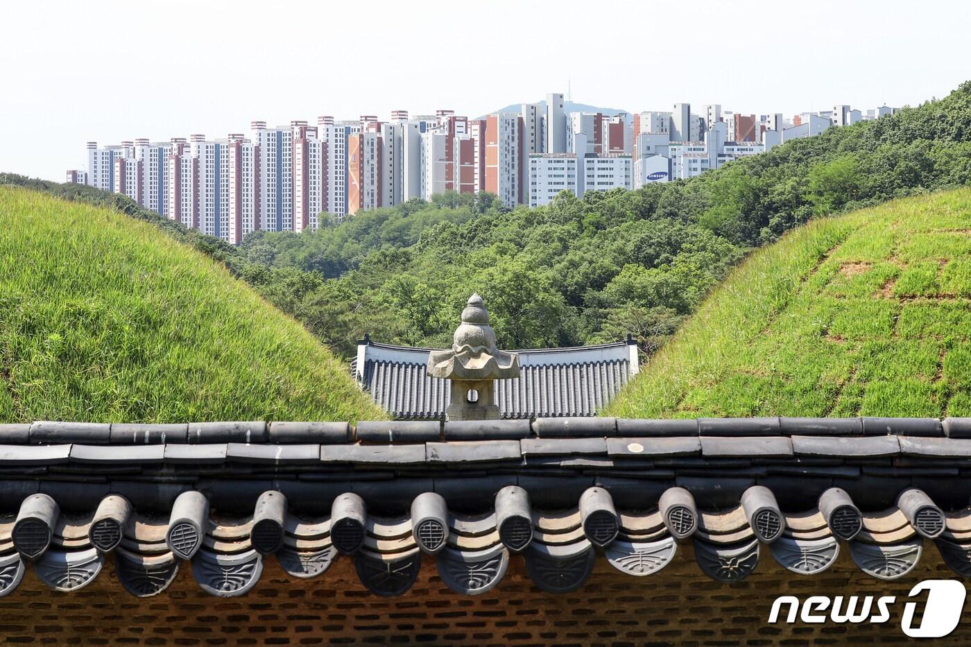 본문 이미지 - 경기 김포 장릉에서 바라본 '왕릉뷰 아파트' 모습. 2022.5.31/뉴스1 ⓒ News1 민경석 기자