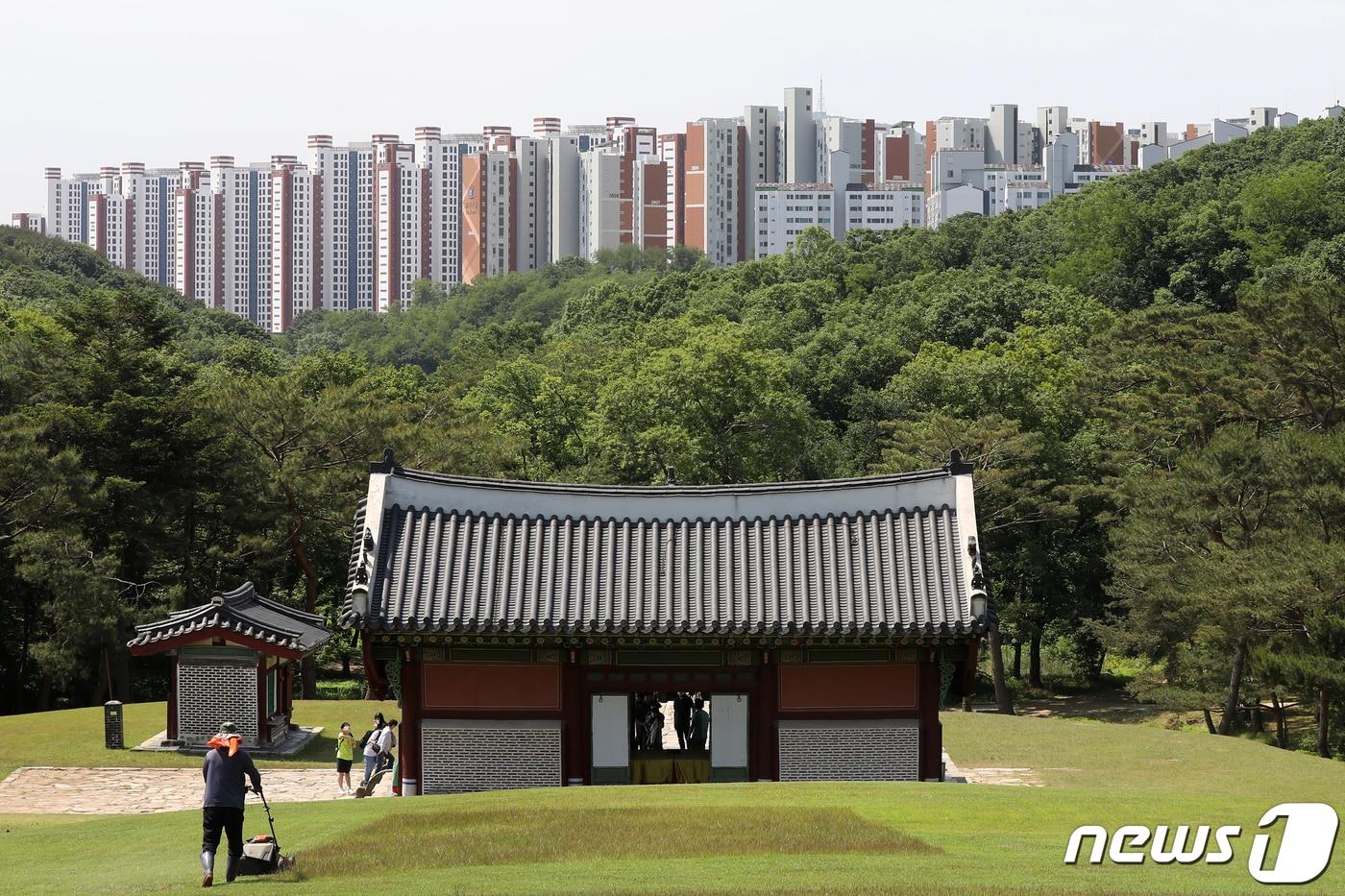 유네스코 문화유산인 김포 장릉에서 바라본 '왕릉뷰 아파트' 모습. 2022.5.31/뉴스1 ⓒ News1 민경석 기자