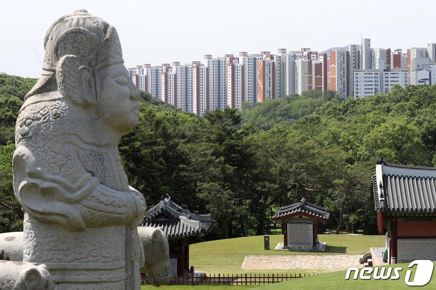 본문 이미지 - 유네스코 세계문화유산인 김포 장릉 인근에 문화재청의 허가 없이 건설돼 논란이 일었던 이른바 '왕릉뷰 아파트'의 모습. (뉴스1 DB) /뉴스1 ⓒ News1 민경석 기자