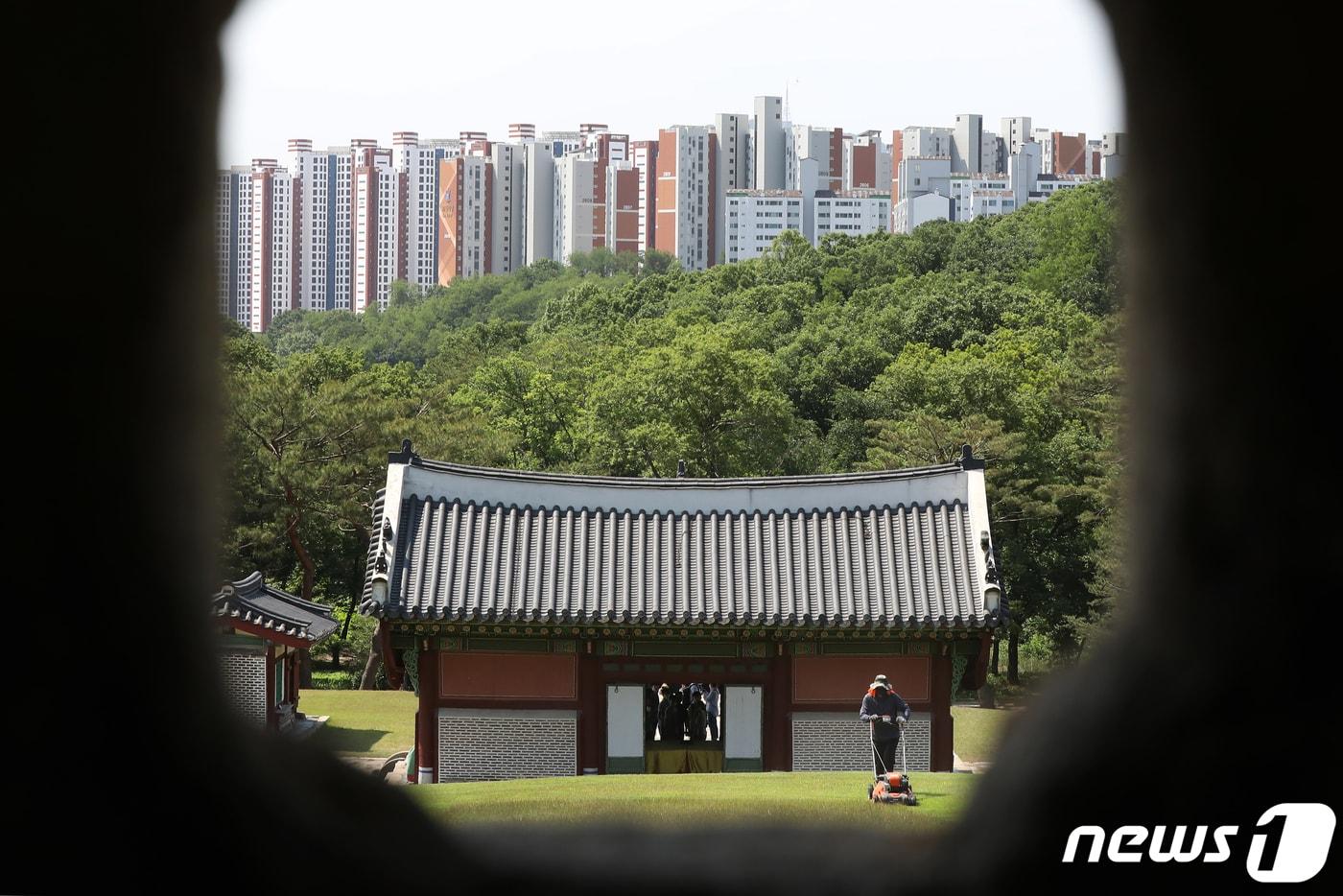 본문 이미지 -  경기 김포 장릉에서 바라본 '왕릉뷰 아파트' 모습. 2022.5.31/뉴스1 ⓒ News1 민경석 기자