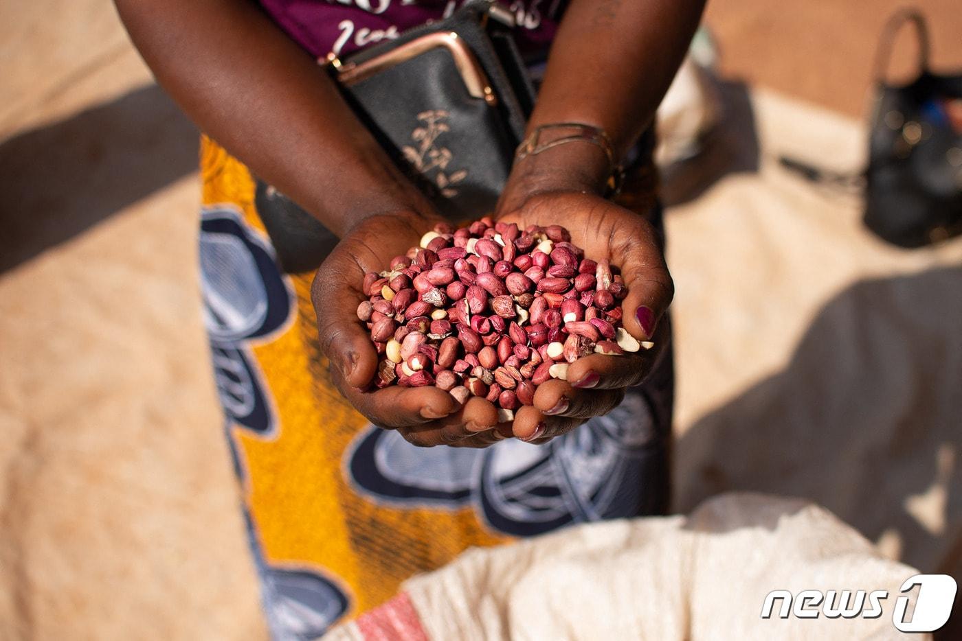 땅콩 ⓒ AFP=뉴스1