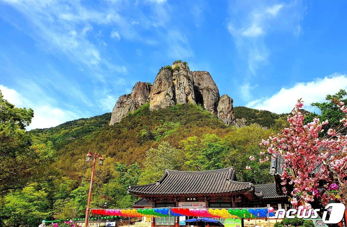 주왕산 초입의 대전사 뒤에 우뚝한 기암(旗岩)의 위용. 일곱 개의 깃발이 나부끼는 듯하다 ⓒ 뉴스1
