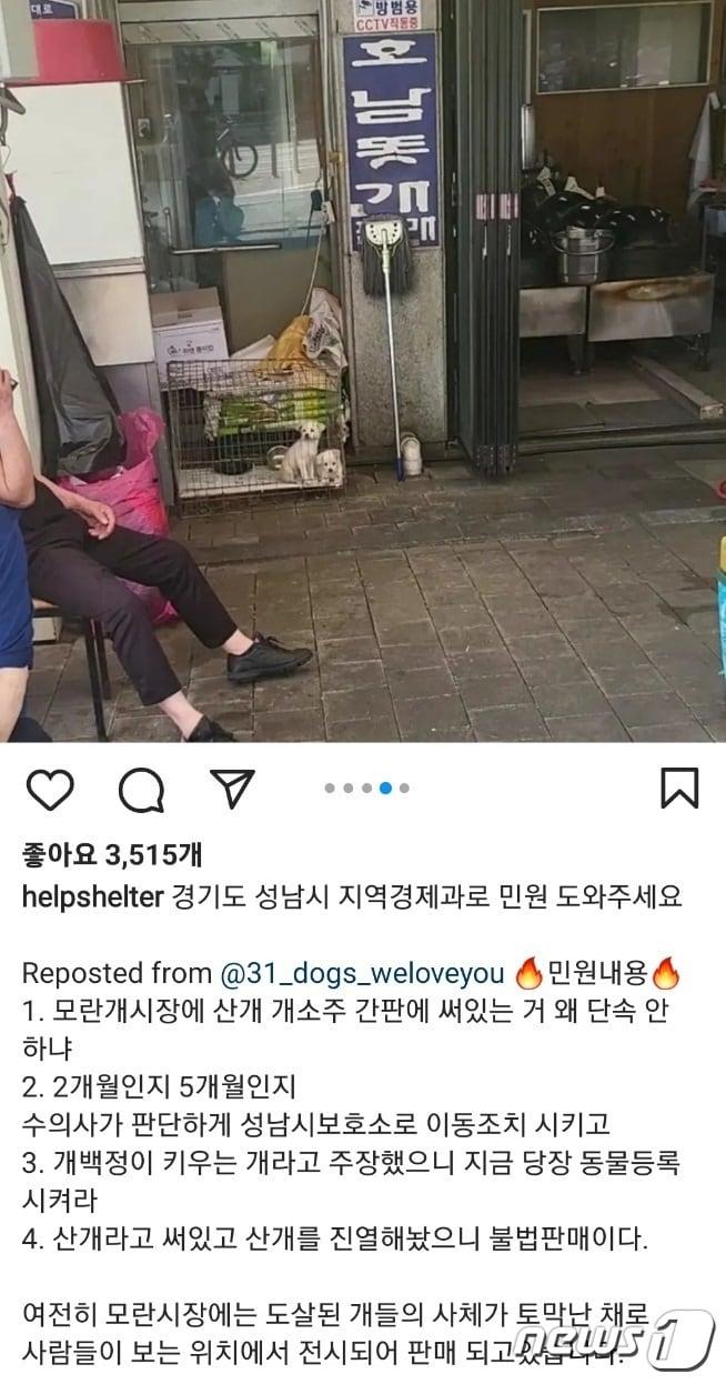 본문 이미지 - 윤석열 대통령 당선인 아내 김건희 여사가 공유한 뒤 삭제한 LCKD 게시글. ⓒ 뉴스1