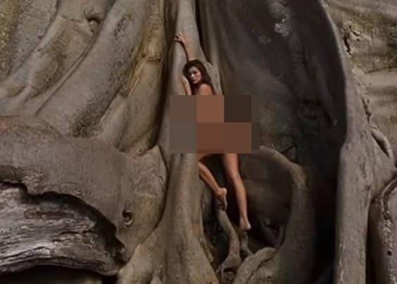 본문 이미지 - 러시아 인플루언서 알리나 파즐리바가 지난 2019년 발리섬의 한 나무에서 찍은 사진 (인스타그램 갈무리) ⓒ 뉴스1