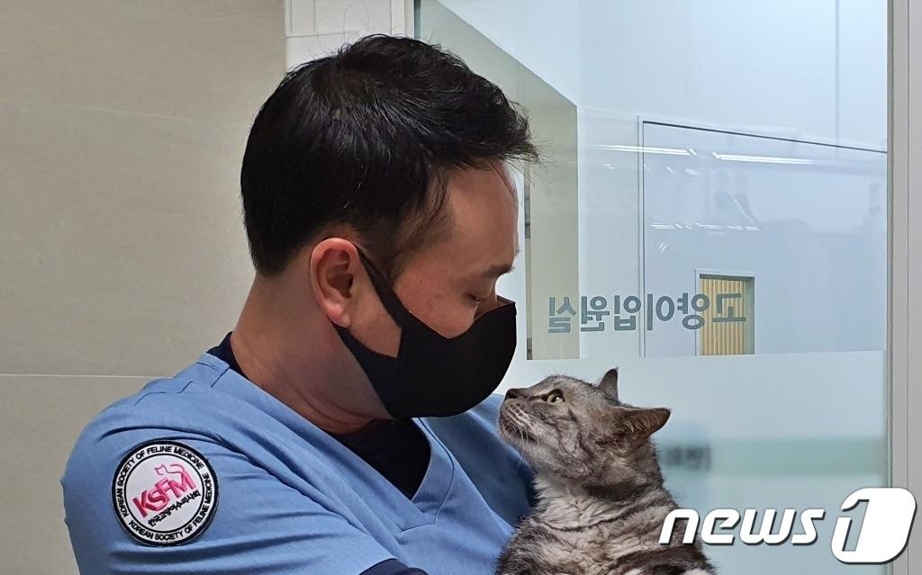 본문 이미지 - 김지헌 한국고양이수의사회 회장 ⓒ 뉴스1 최서윤 기자