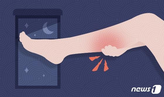 본문 이미지 - ⓒ News1 최수아 디자이너