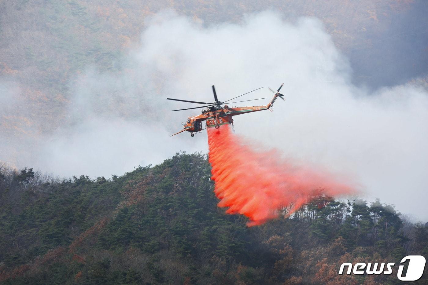 본문 이미지 - (사진은 기사 내용과 무관함) / 뉴스1 ⓒ News1