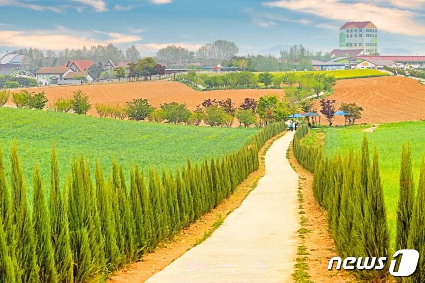 여행과 배움 얻는 일석이조 경기도 관광지는?…안성, 고양, 부천이 그곳 - 뉴스1