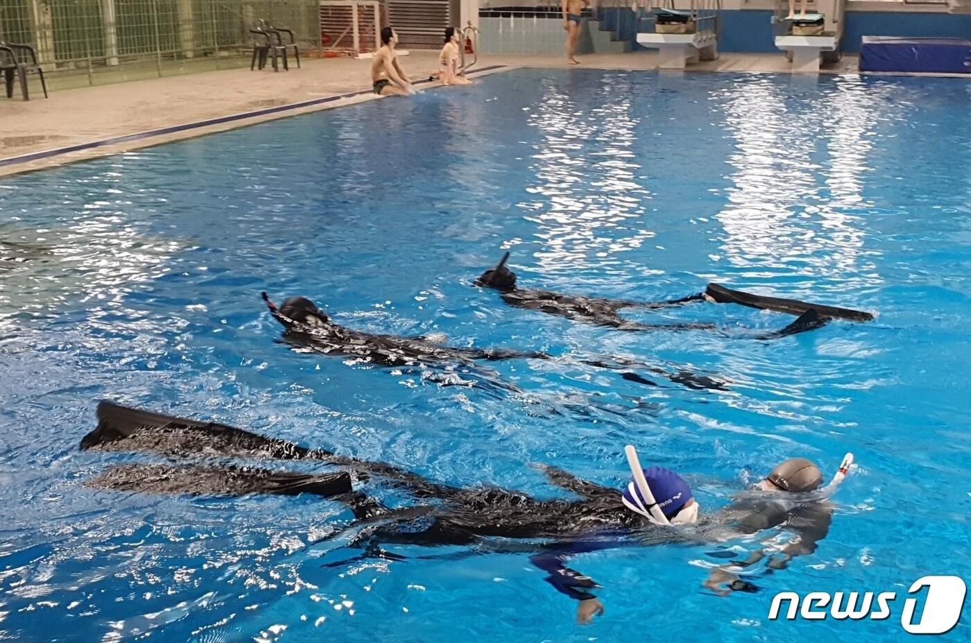 본문 이미지 - 충북학생수련원은 초·중학생 프리다이빙 참가자를 오는 20일까지 모집한다. 사진은 프리다이빙 진행 모습.ⓒ 뉴스1