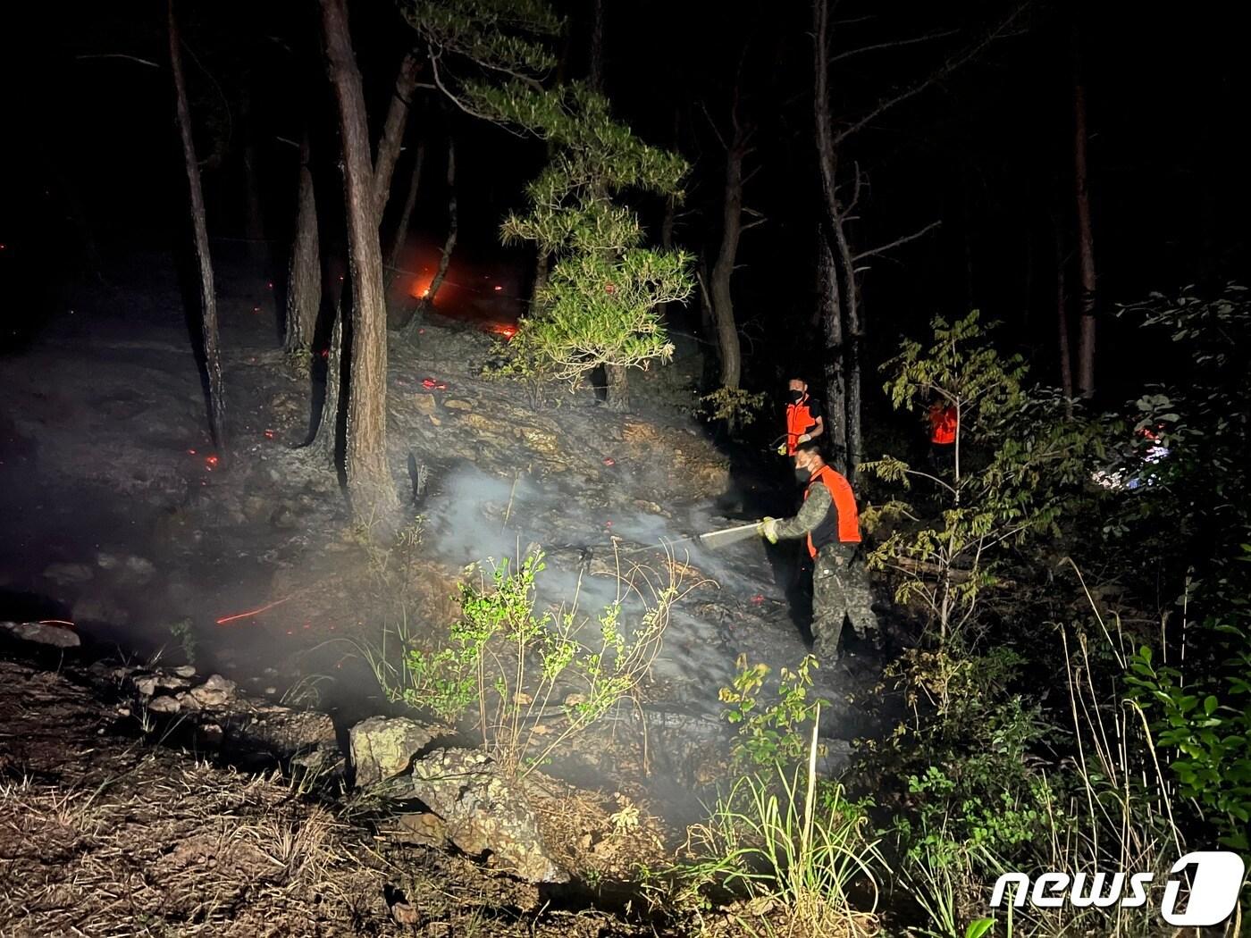 본문 이미지 - 지난 1일 경남 밀양시에서 의용소방대원들이 야간 산불 진압활동을 벌이고 있다. (소방청 제공) /뉴스1