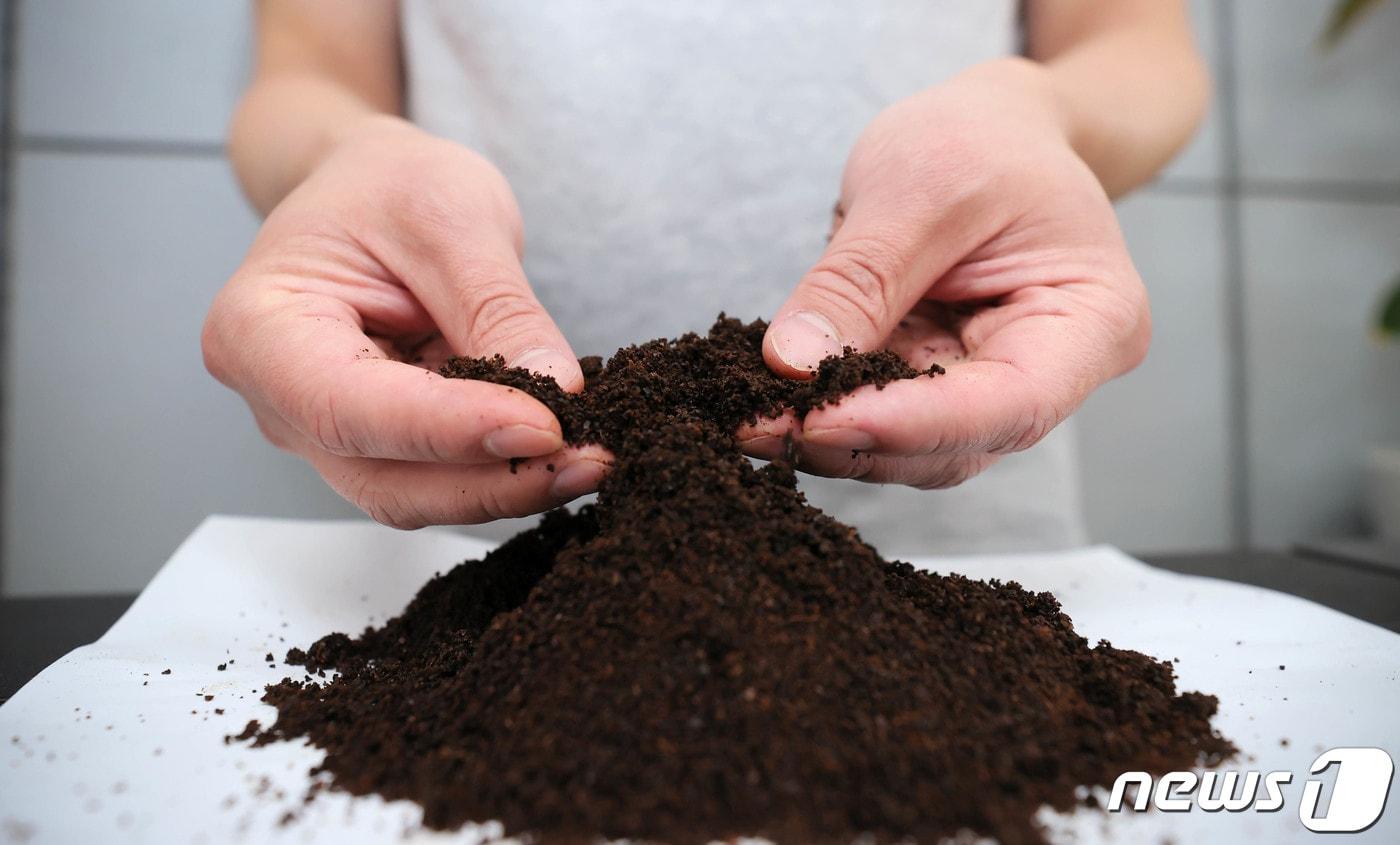  커피박 자료사진/뉴스1