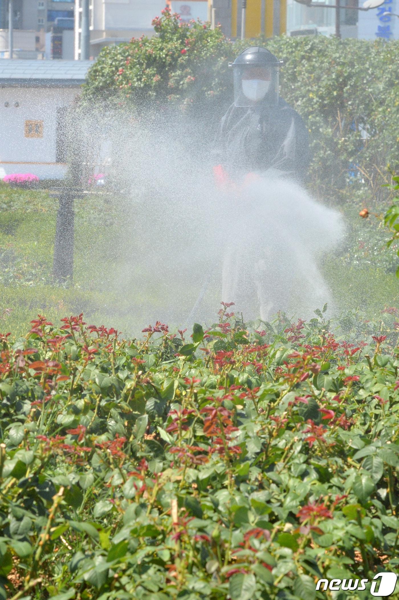 본문 이미지 - 진드기 박멸 방역 작업./뉴스1 ⓒ News1