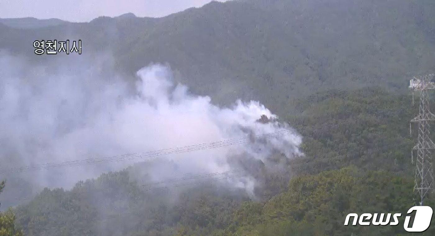 본문 이미지 - 21일 오후 1시55분쯤 대구 동구 진인동 예비군 훈련장 인근 야산에서 불이 나 산림당국이 헬기 5대를 투입해 진화 중이다.(산림청 제공)ⓒ 뉴스1