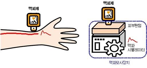 본문 이미지 - 손목 맥동현상을 유사하게 구현한 맥파모사장치(피부팬텀+맥파시뮬레이터) (식품의약품안전처 제공) ⓒ 뉴스1