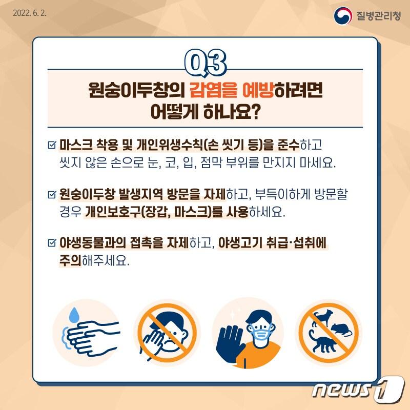 본문 이미지 - 안성시청 제공 ⓒ 뉴스1