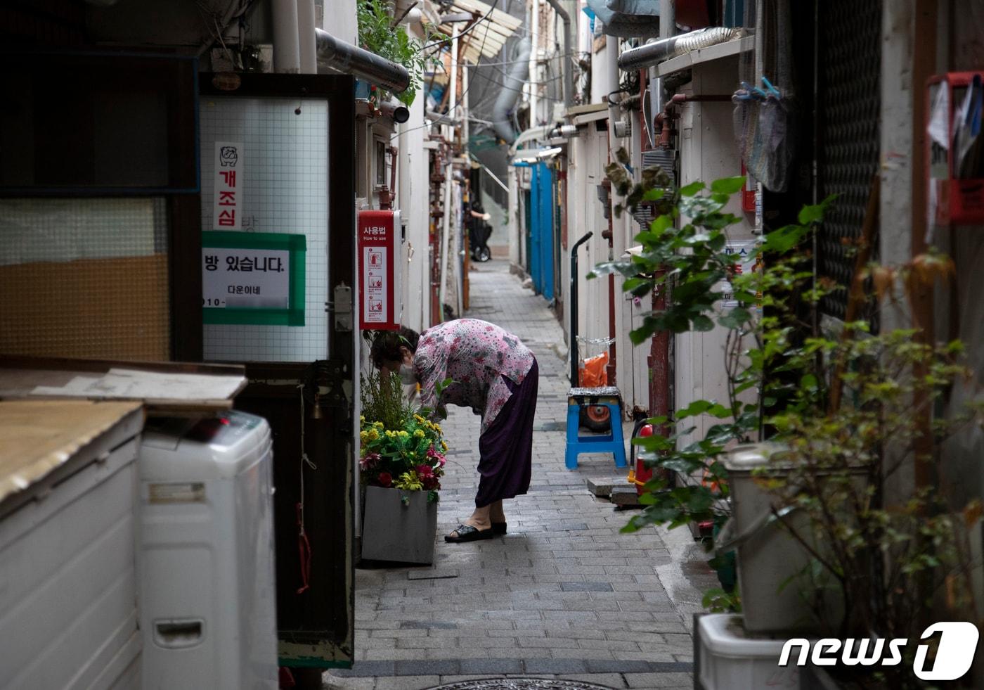 본문 이미지 - 서울 종로구 돈의동 쪽방촌에서 한 주민이 꽃을 가꾸고 있다.ⓒ 뉴스1 신웅수 기자