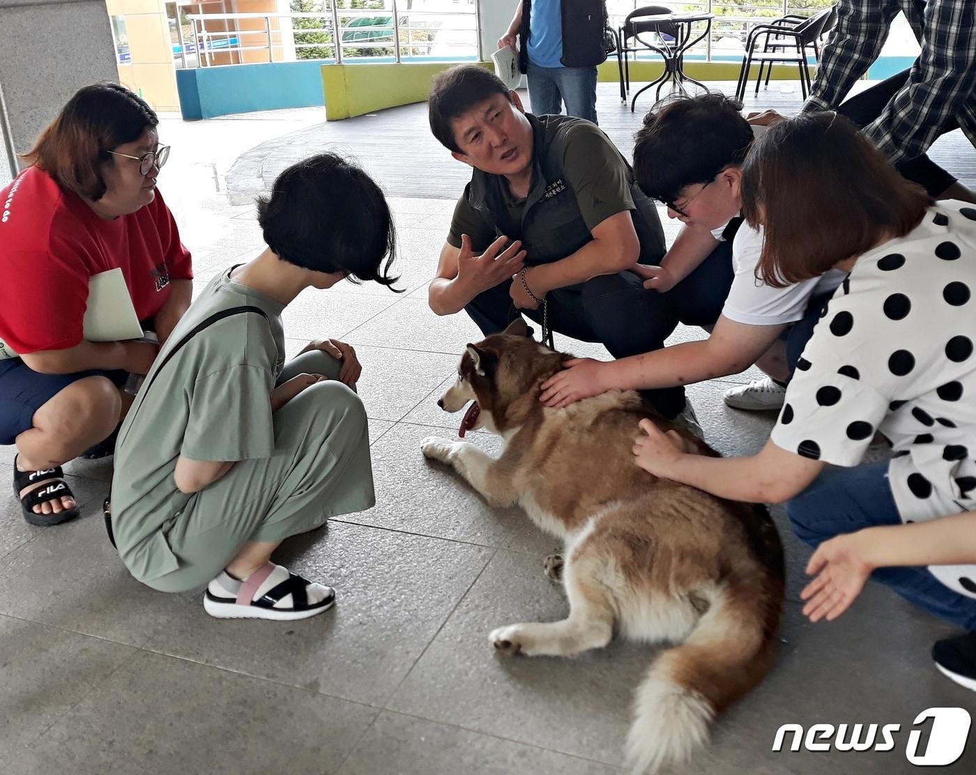 본문 이미지 - 8일 충북 충주시가 건국대학교 글로컬캠퍼스와 손잡고 펫 관광 콘텐츠를 발굴한다고 밝혔다. 사진은 충주시 장애인 평생학습 반려동물 펫푸드 매니저 양성과정 모습.(충주시 제공)2022.6.7/ⓒ 뉴스1