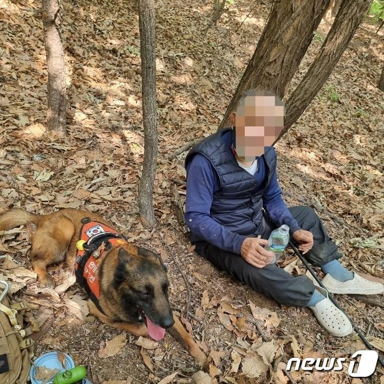 본문 이미지 - 야산에서 길을 잃고 쓰러진 80대 치매 노인이 119구조견 '전진'의 활약에 힘입어 무사히 구조됐다.(경기북부소방재난본부 제공)ⓒ 뉴스1