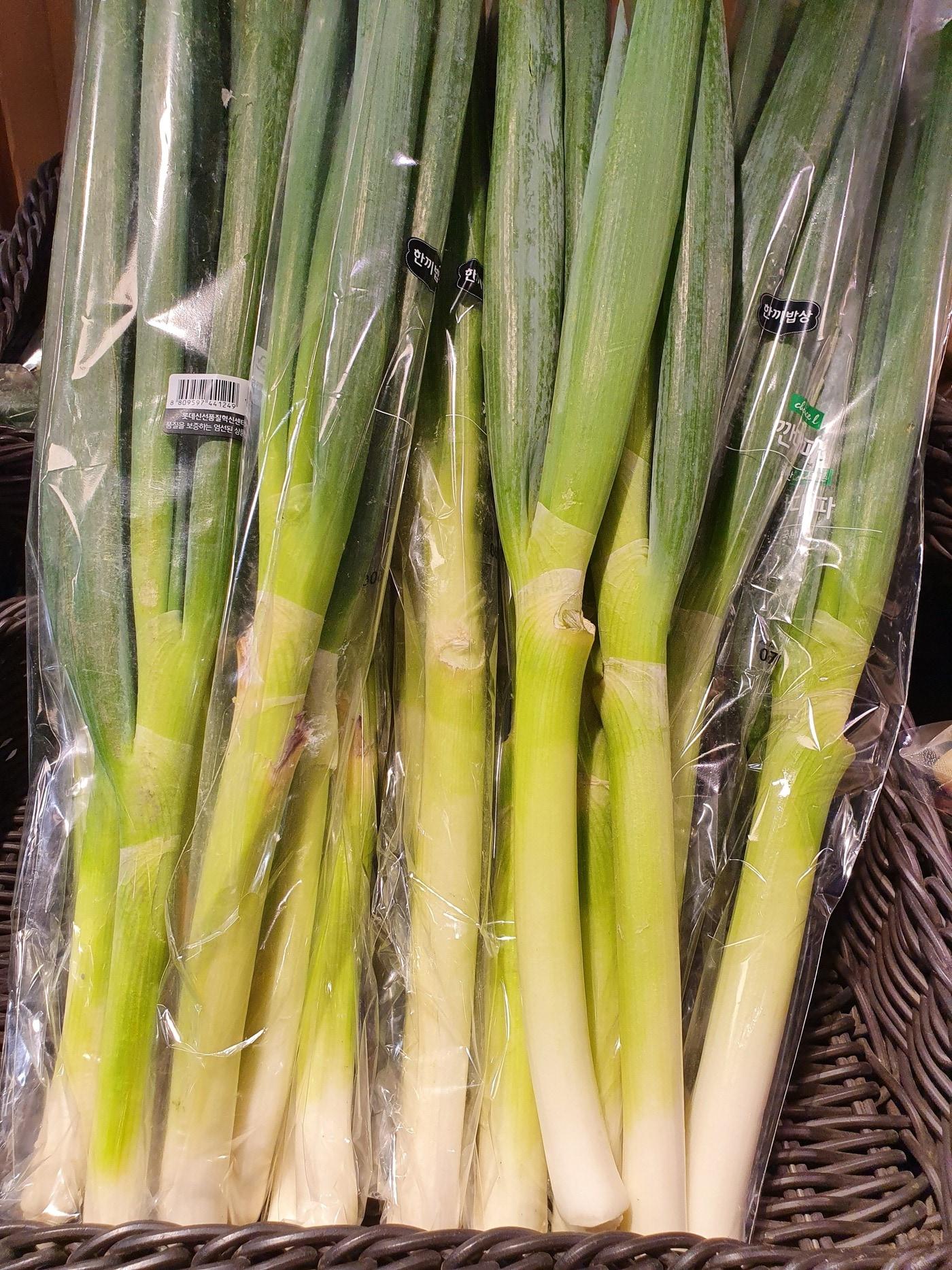 본문 이미지 - 국내 한 대형마트에서 판매 중인 대파. 조성관 작가 제공 