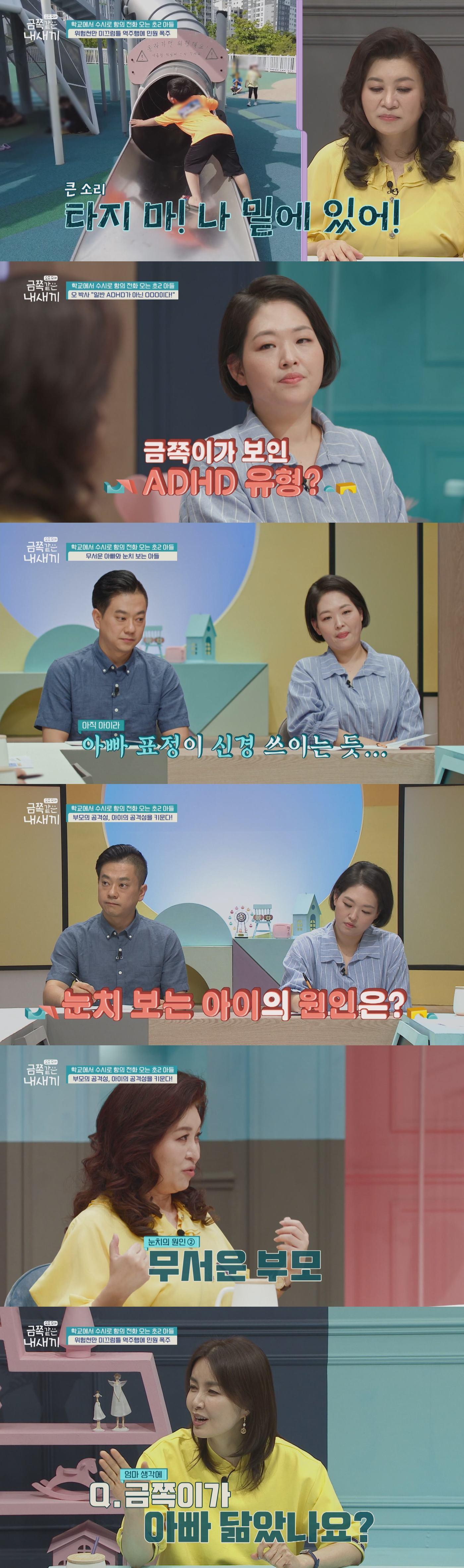 본문 이미지 - 채널A ⓒ 뉴스1