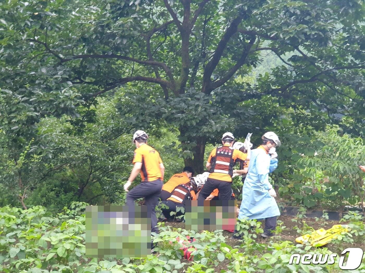 본문 이미지 - 지난 12일 오후 6시46분쯤 옥천군 안내면 한 밭에서 부녀가 전기울타리에 감전돼 숨졌다. 사진은 소방대원들이 사고 현장에서 구급활동하는 모습. ⓒ 뉴스1