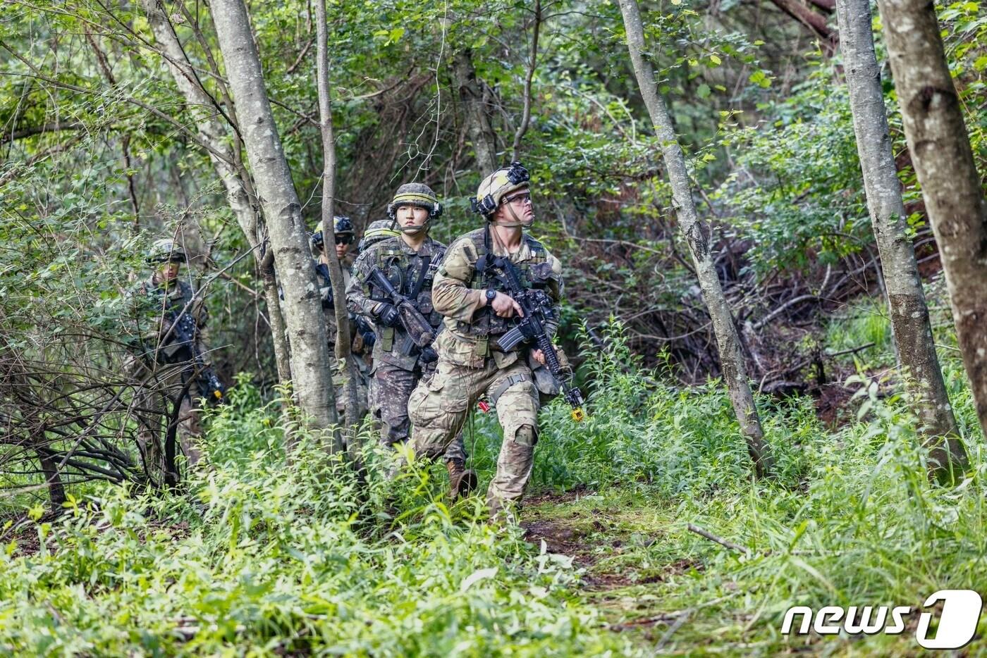 수색정찰.(사진은 기사와 관련없음)/뉴스1 DB