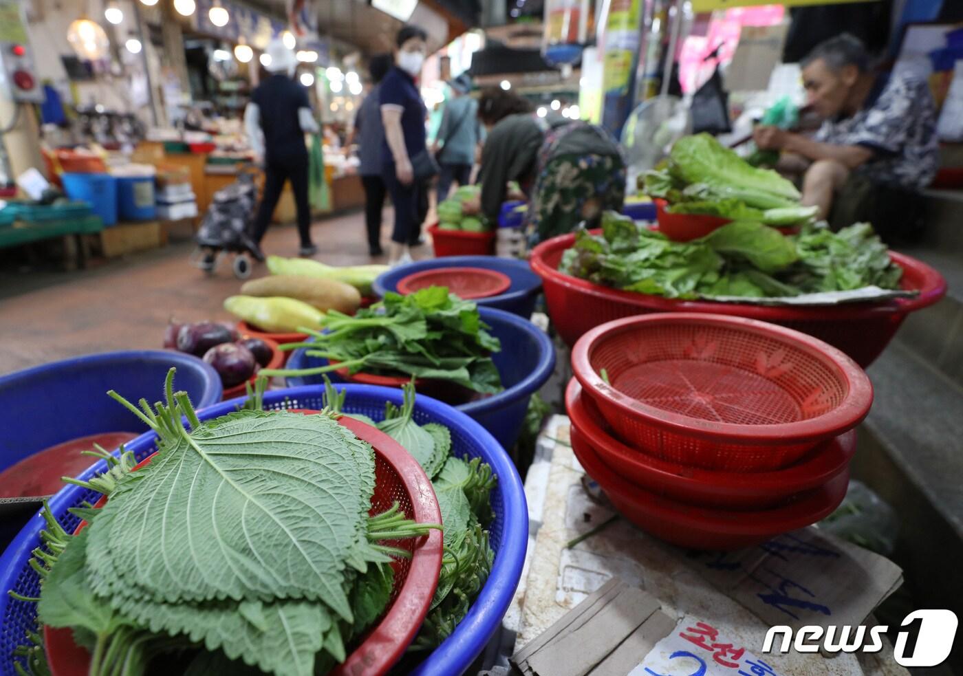 ⓒ News1 김영운 기자