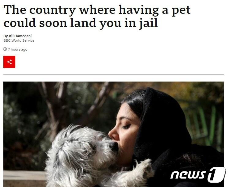 본문 이미지 - 해당 기사 - BBC 갈무리