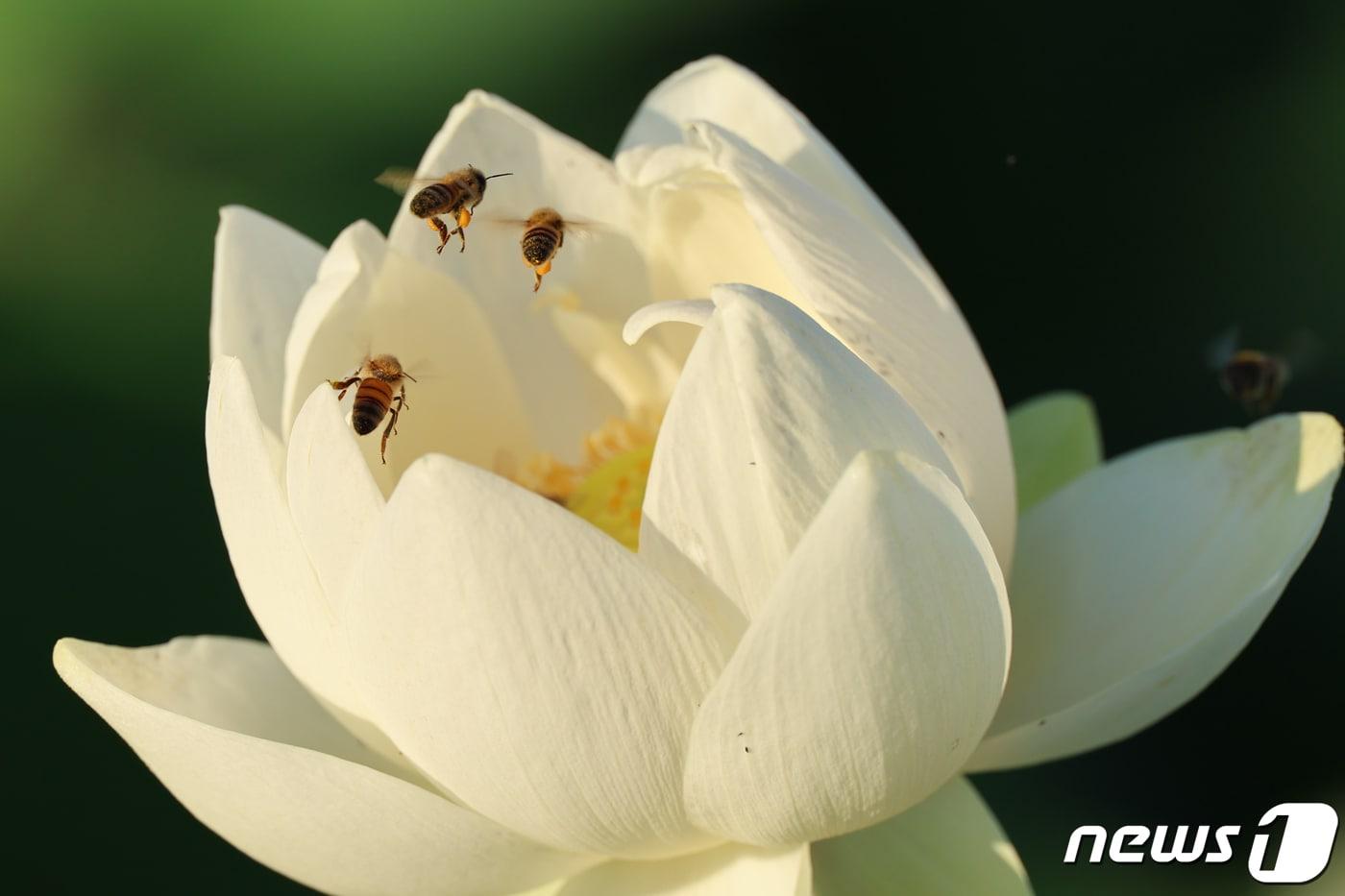 본문 이미지 - (사진은 기사 내용과 무관함) / 뉴스1 ⓒ News1