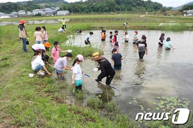 본문 이미지 - 김해 화포천습지생태공원에서 청소년들이 체험활동을 하고 있다. (김해시 제공) ⓒ 뉴스1