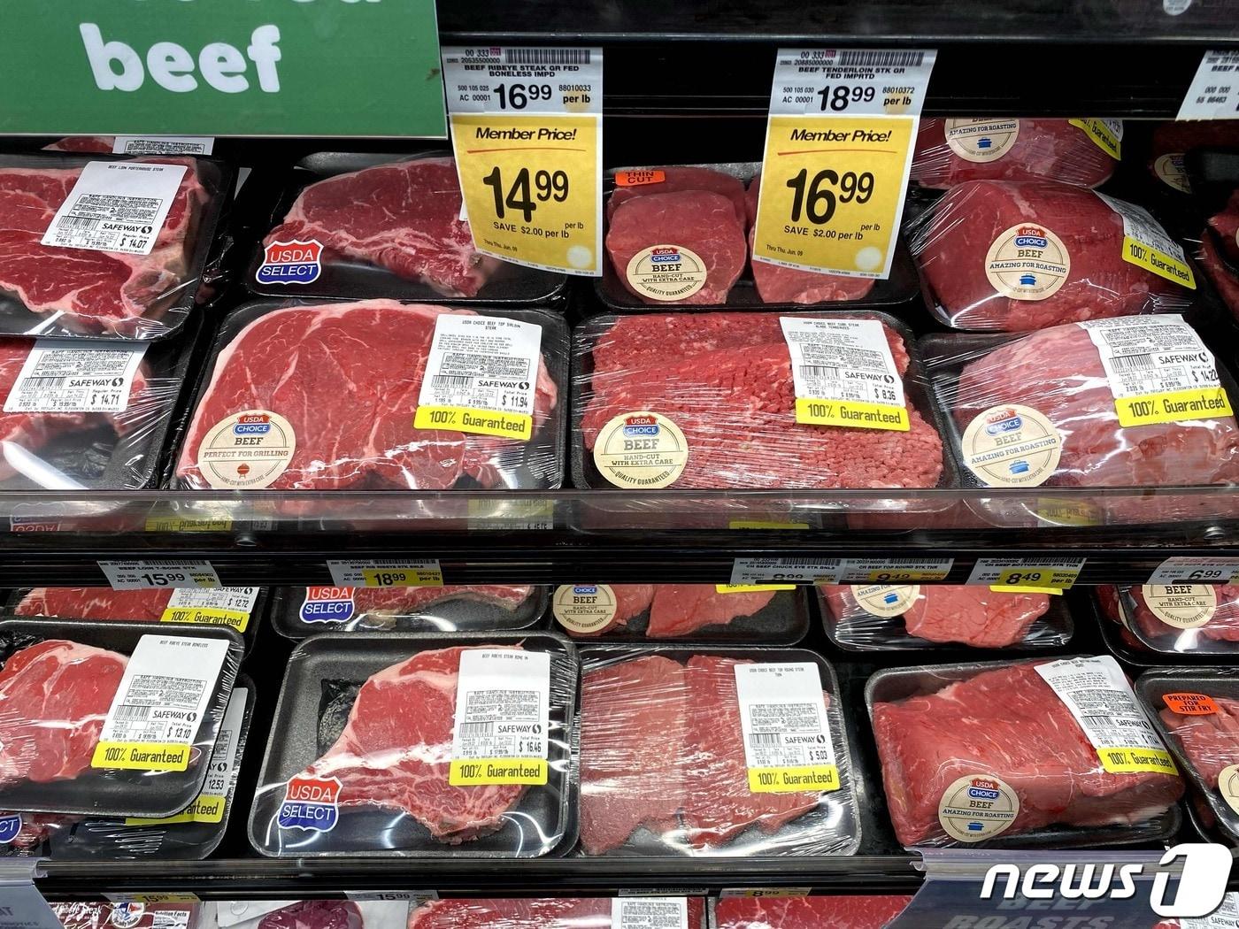 본문 이미지 - (사진은 기사 내용과 무관함) / 뉴스1 ⓒ News1ⓒ AFP=뉴스1