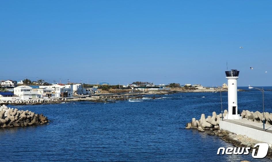 본문 이미지 - 최근 경북 포항시 남구 호미곶면 강사리 다무포 고래마을에 관광객들의 발길이 끊이지 않고 잇는 것으로 나타났다.마을 입구에서 본 전경.(다무포하얀마을만들기 추진위원회)2022.7.25/ⓒ 뉴스1