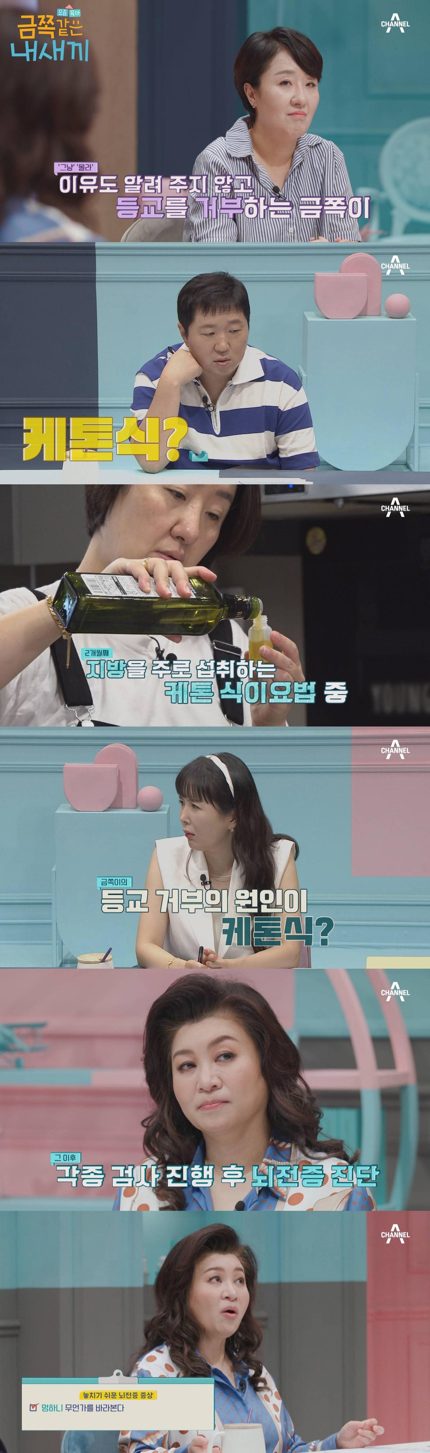 본문 이미지 - 채널A ⓒ 뉴스1