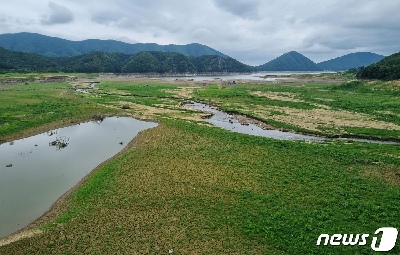 영천댐 자료사진 /뉴스1 ⓒ News1 최창호 기자
