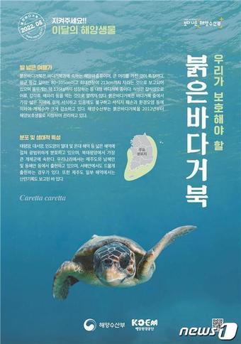 본문 이미지 - ⓒ 뉴스1