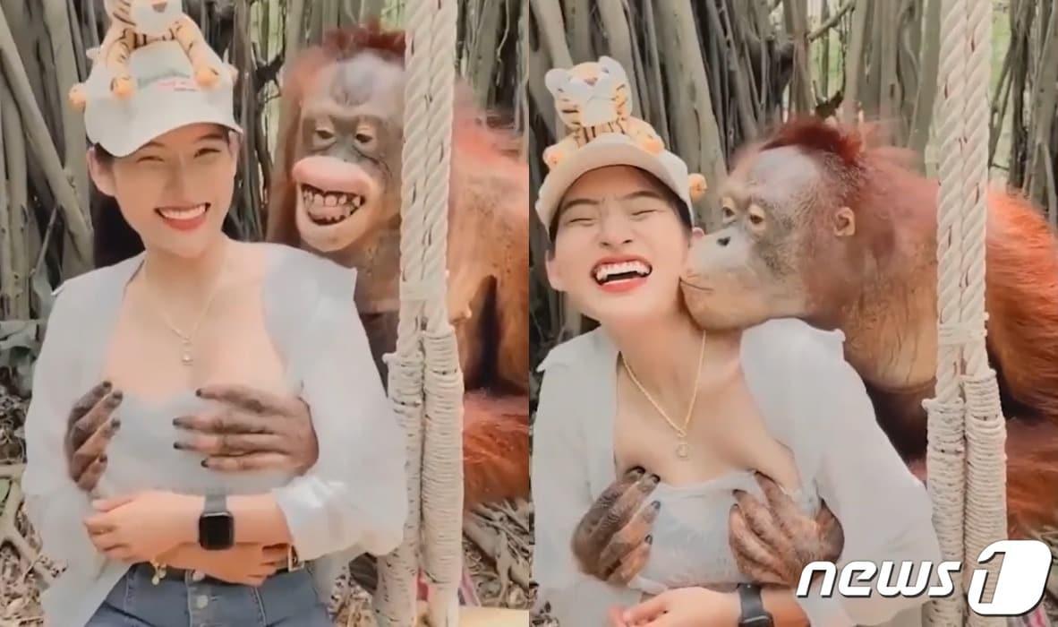 본문 이미지 - (유튜브 갈무리) ⓒ 뉴스1