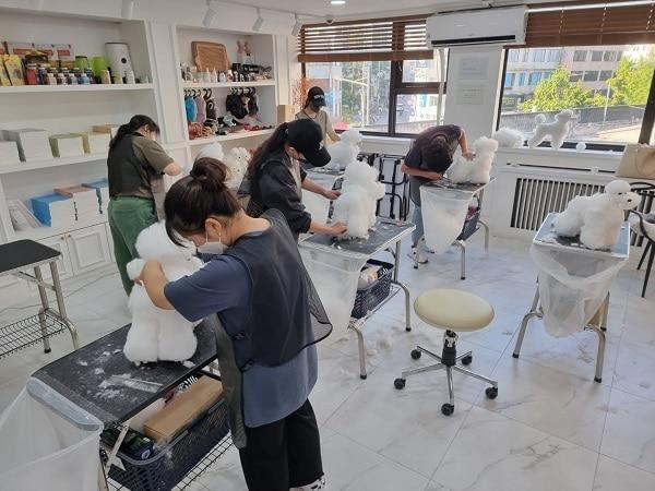 본문 이미지 - ⓒ 뉴스1