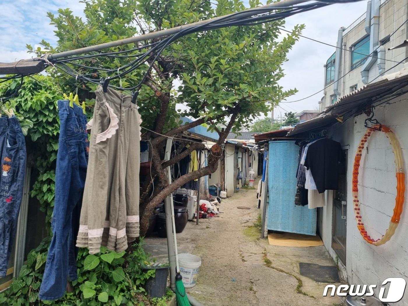 본문 이미지 - 5일 오후 1시께 찾은 경기 남양주시 화도읍 판자촌(해방촌).ⓒ 뉴스1 양희문 기자